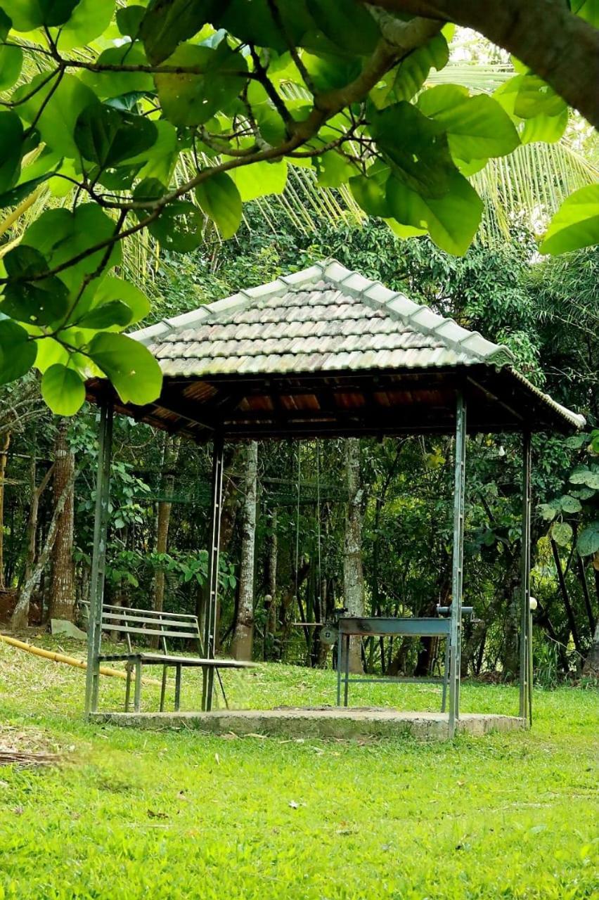 Ayurnest Pool Resort Wayanad Batheri Eksteriør billede