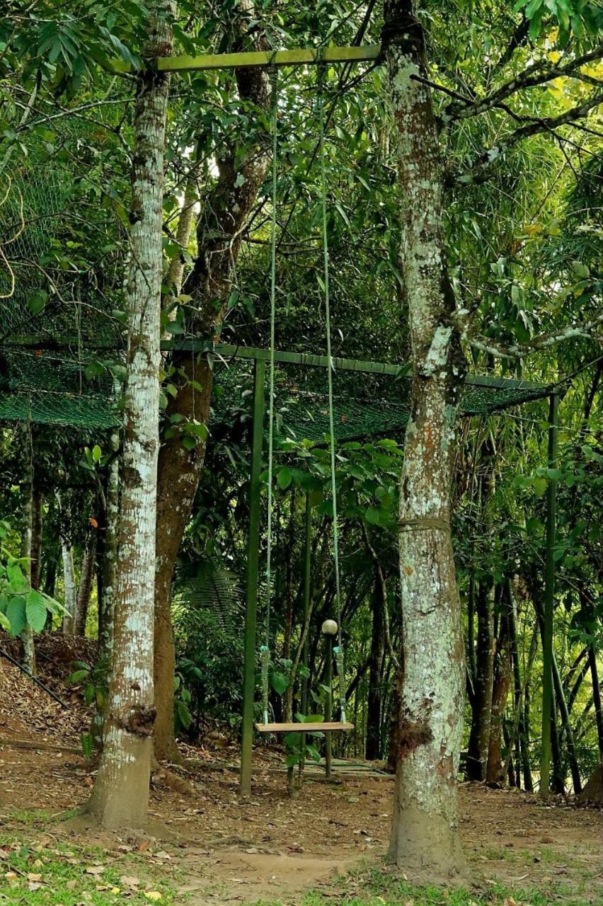 Ayurnest Pool Resort Wayanad Batheri Eksteriør billede