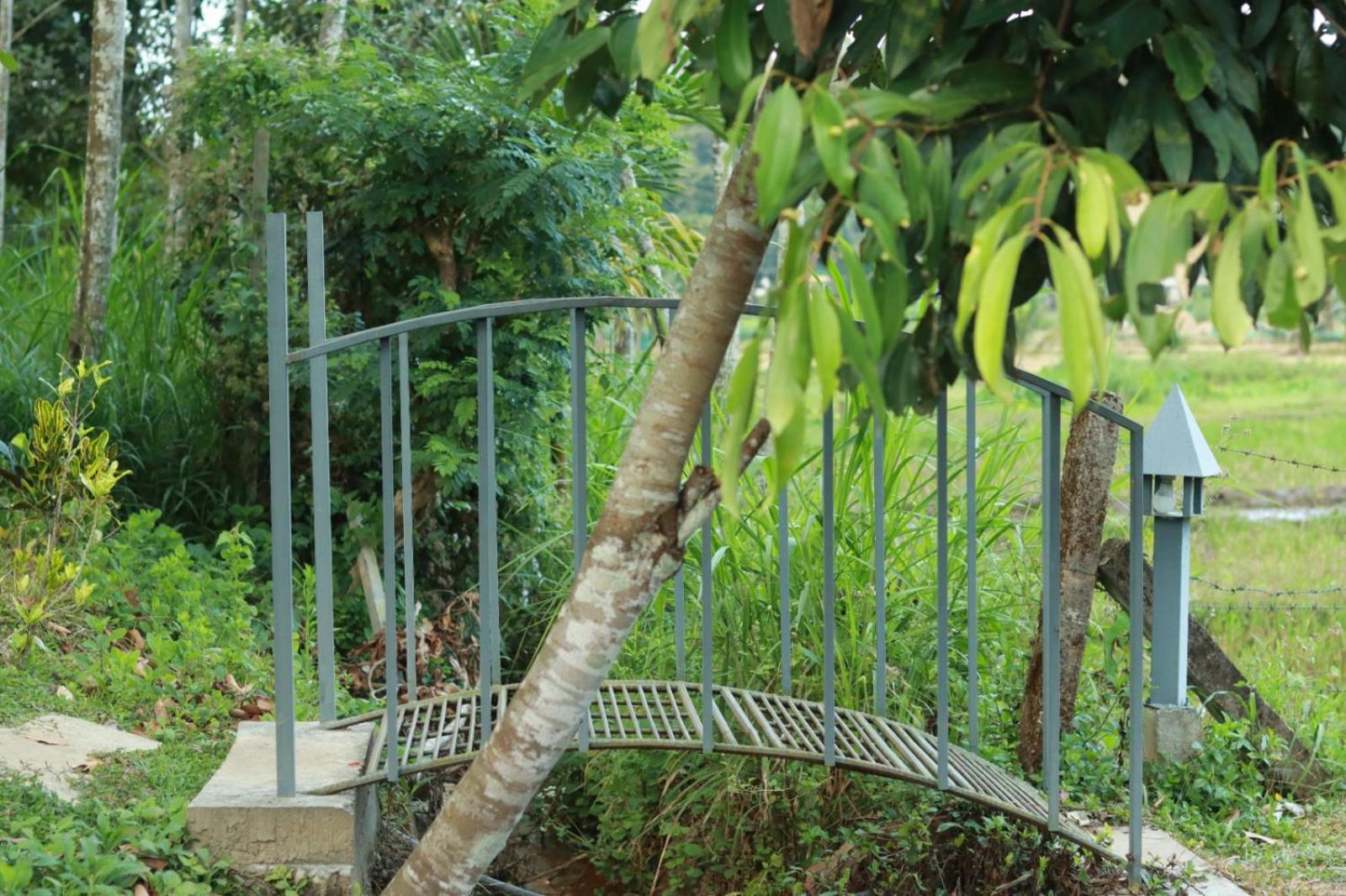 Ayurnest Pool Resort Wayanad Batheri Eksteriør billede